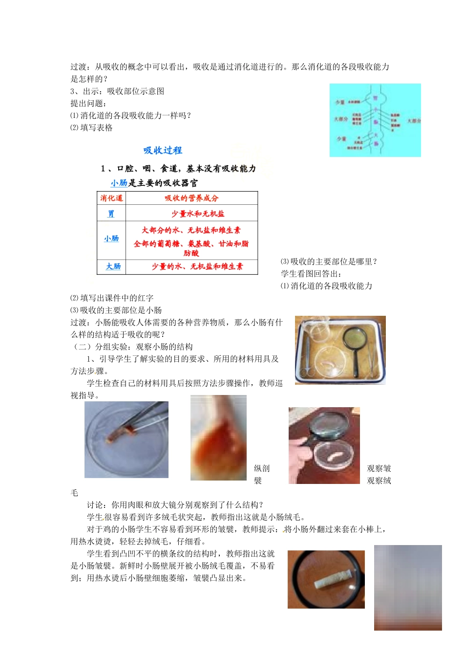 七年级生物下册 第3单元 第1章 第2节 消化和吸收（第3课时）教案1 （新版）济南版_第2页