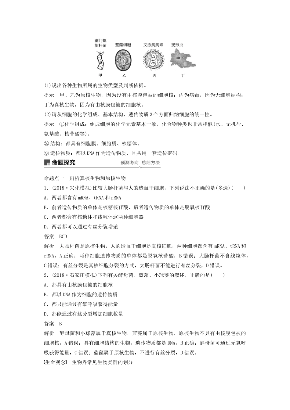 （江苏专用）高考生物新导学大一轮复习 第二单元 细胞的结构和功能 第4讲 生命活动的基本讲义（含解析）苏教版-苏教版高三全册生物教案_第3页