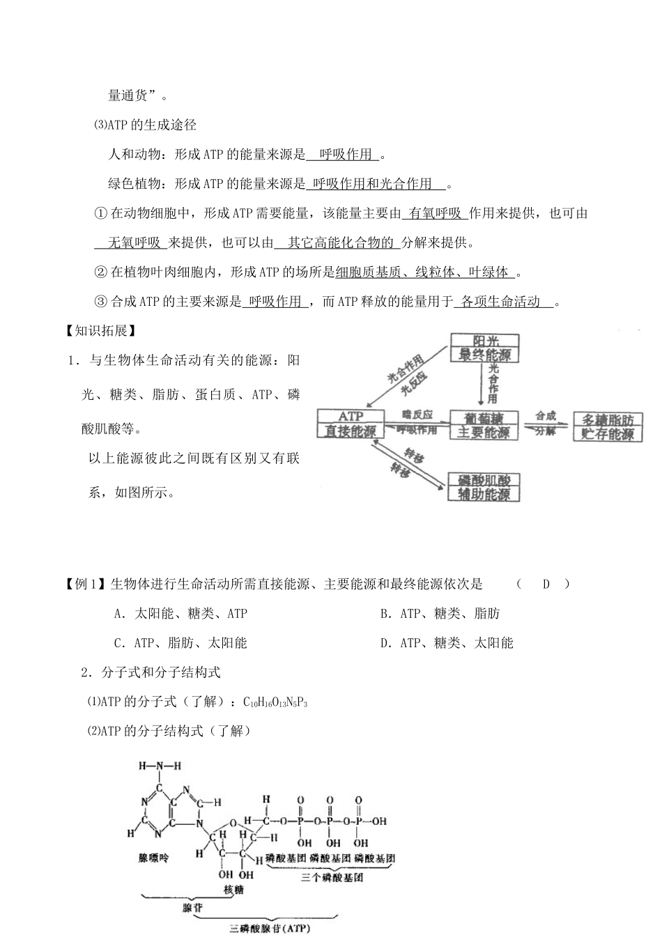 高中生物新陈代谢与ATP旧人教版必修一_第2页