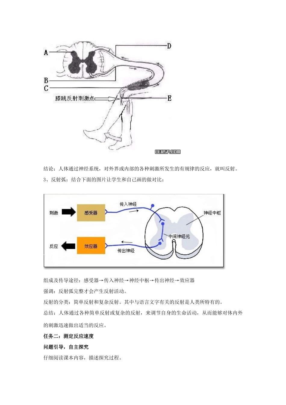 七年级生物下册 6.3《神经调节的基本方式》教案 新人教版_第3页