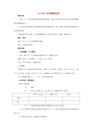 七年级数学下册：6.5二元一次方程组的应用教案（北京课改版）