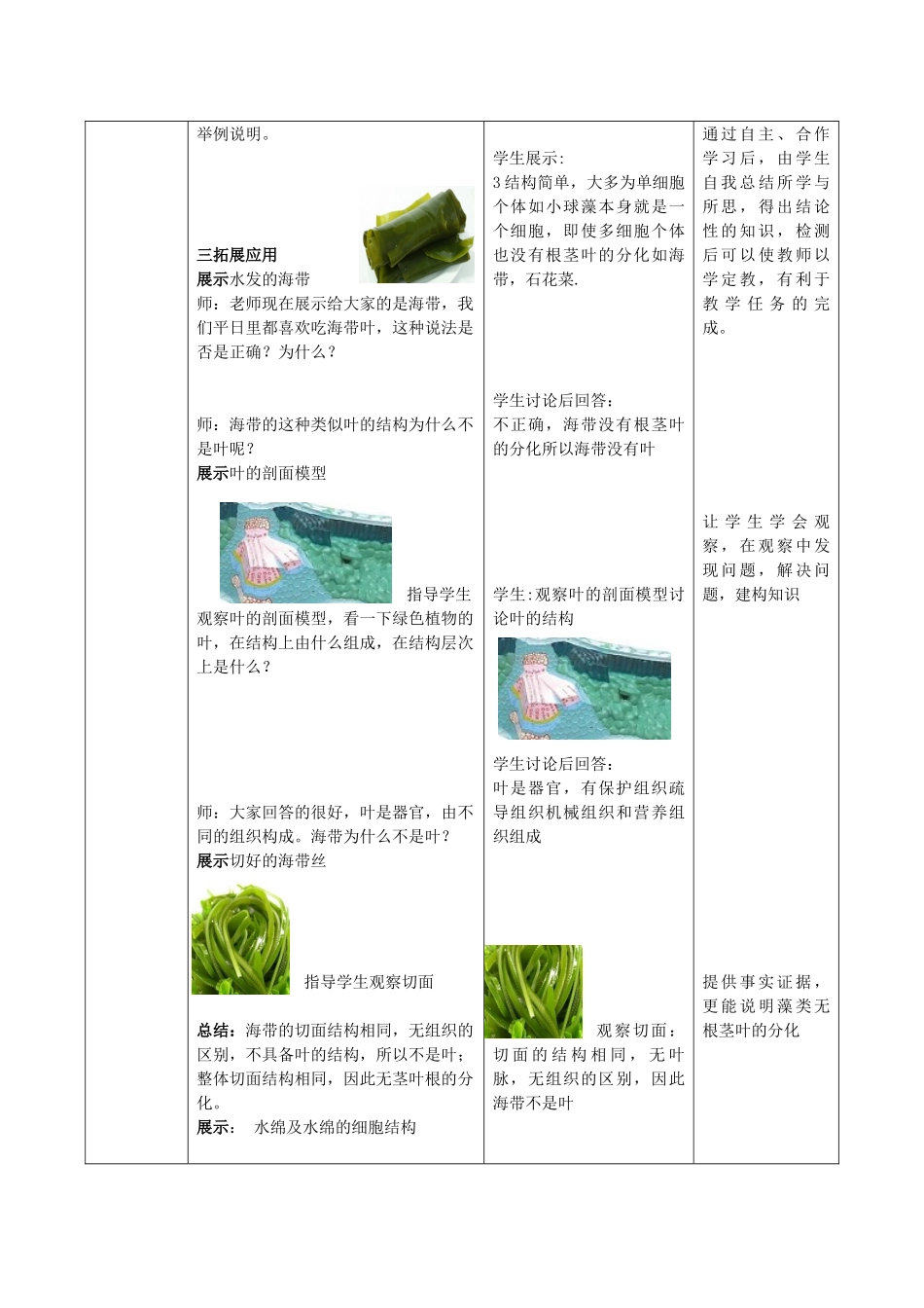 七年级生物上册 2.1.1 绿色植物的主要类群（第1课时）优秀教案 （新版）济南版-（新版）济南版初中七年级上册生物教案_第3页