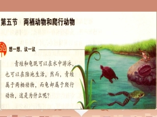 山东省龙口市诸由观镇诸由中学八年级生物上册 1.5 两栖动物和爬行动物课件 （新版）新人教版