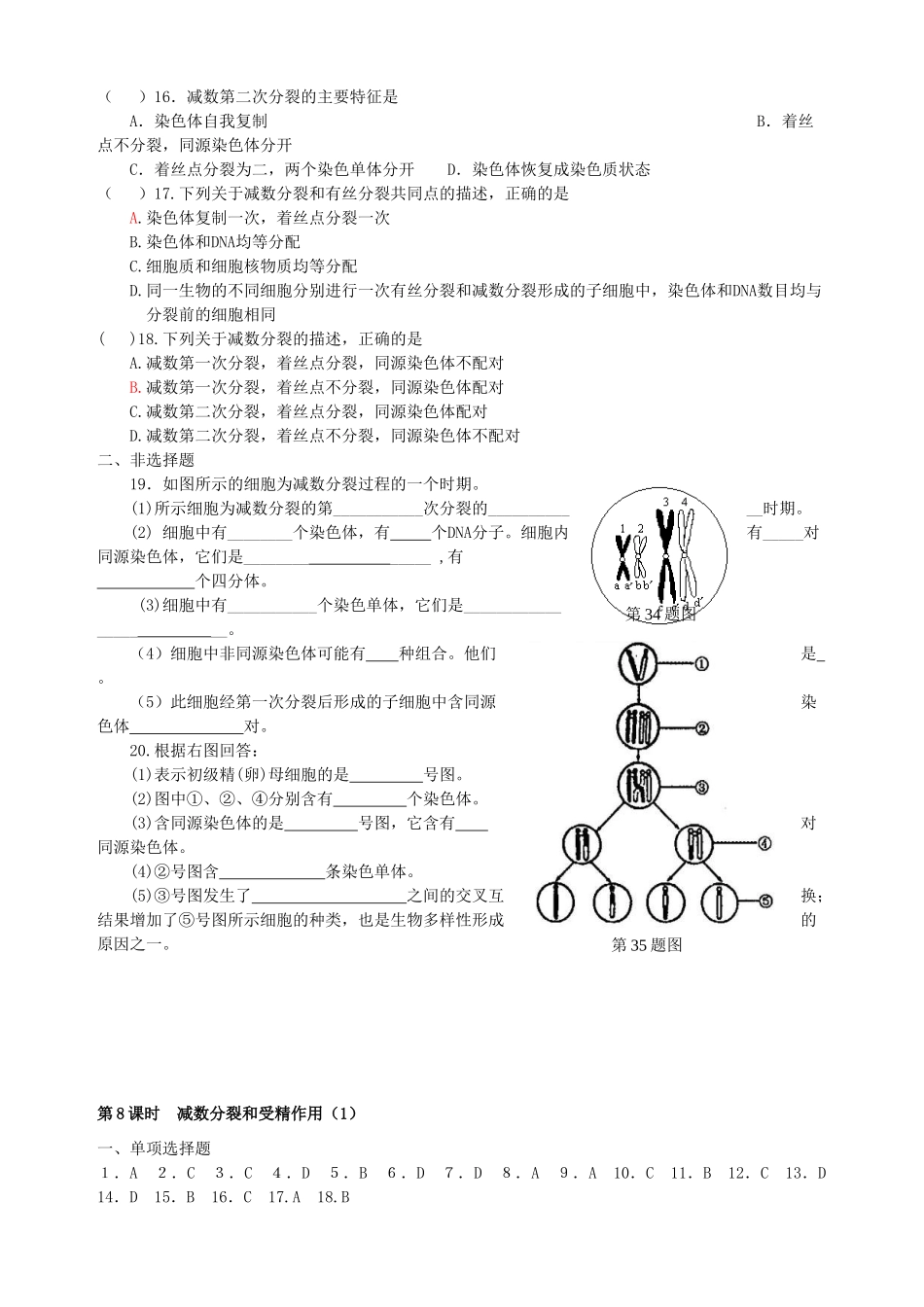 [同步练习]第03课减数分裂和受精作用1_第2页