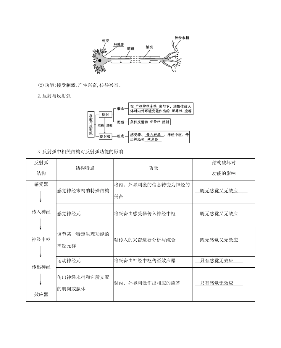 高考生物一轮复习 第8单元 生命活动的调节 第22讲 人和高等动物的神经调节教案-人教版高三全册生物教案_第2页
