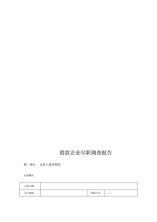 企业借款尽职调查报告