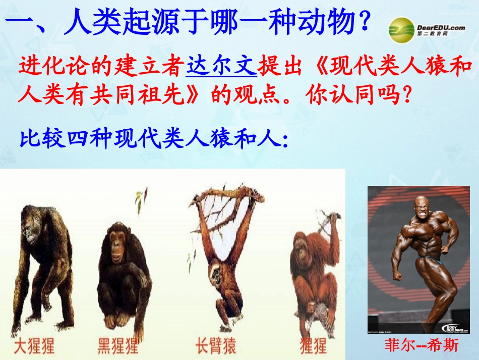 七年级生物下册 第4单元 第一章《人的由来》第一节《人类的起源和发展》课件 （新版）新人教版_第2页