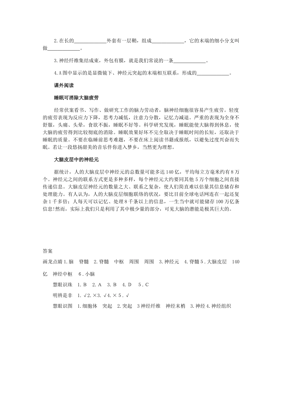 山东省泰安新泰市七年级生物下册 6.2 神经系统的组成练习题 新人教版_第3页