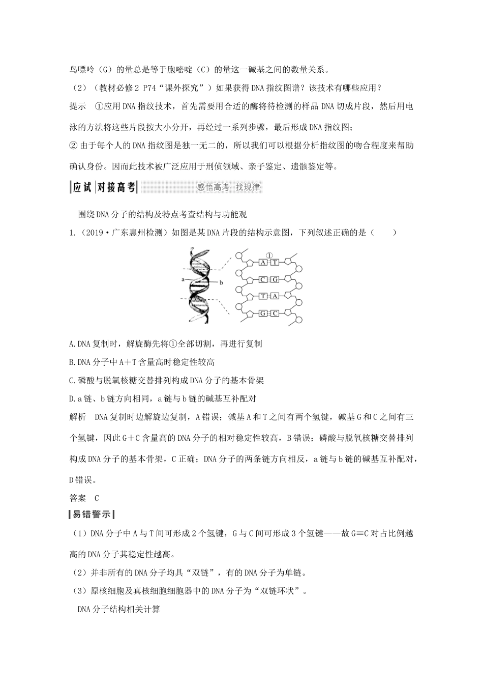 高考生物总复习 第17讲 DNA的结构和复制教案 苏教版-苏教版高三全册生物教案_第3页