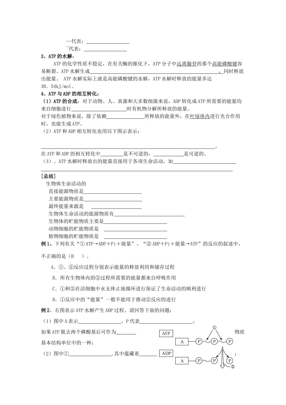 高中生物 4—1、ATP和酶教案（教师版） 必修1_第2页