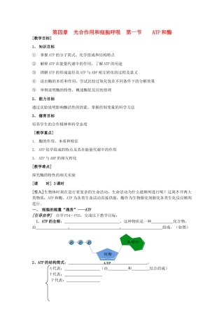 高中生物 4—1、ATP和酶教案（教师版） 必修1