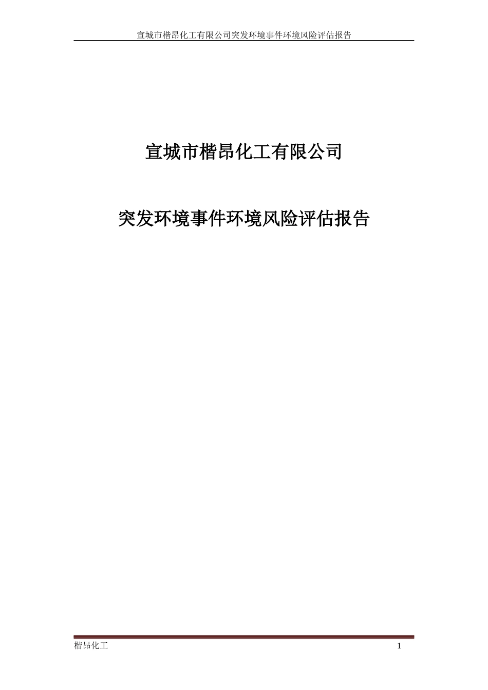 化工有限公司突发环境事件环境风险评估报告_第1页