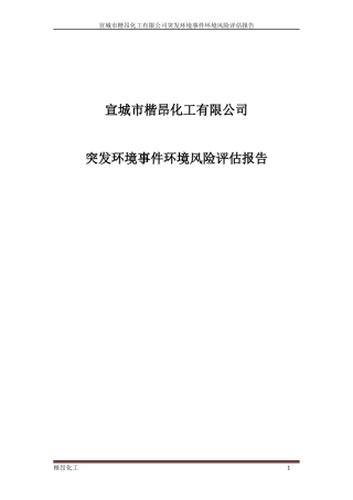 化工有限公司突发环境事件环境风险评估报告