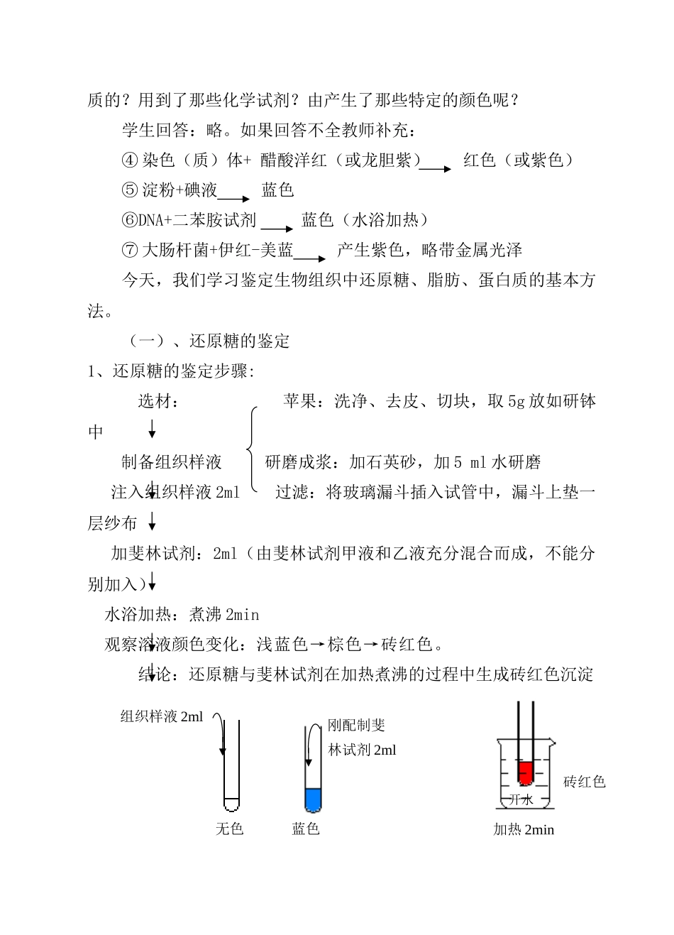 高中生物实验一 生物组织中还原糖、脂肪、蛋白质的鉴定教案必修一_第3页