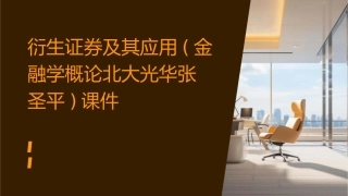 衍生证券及其应用(金融学概论北大光华张圣平)课件