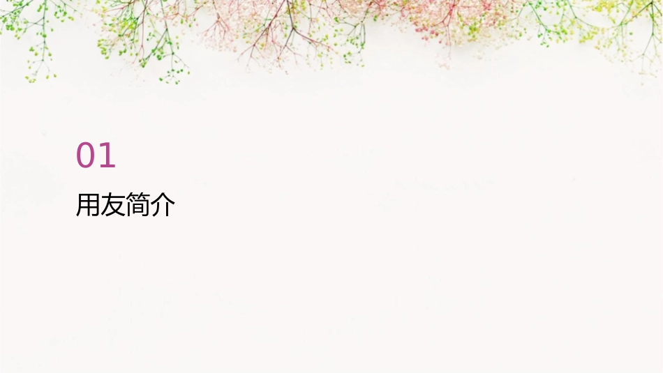 用友发展之路课件_第3页