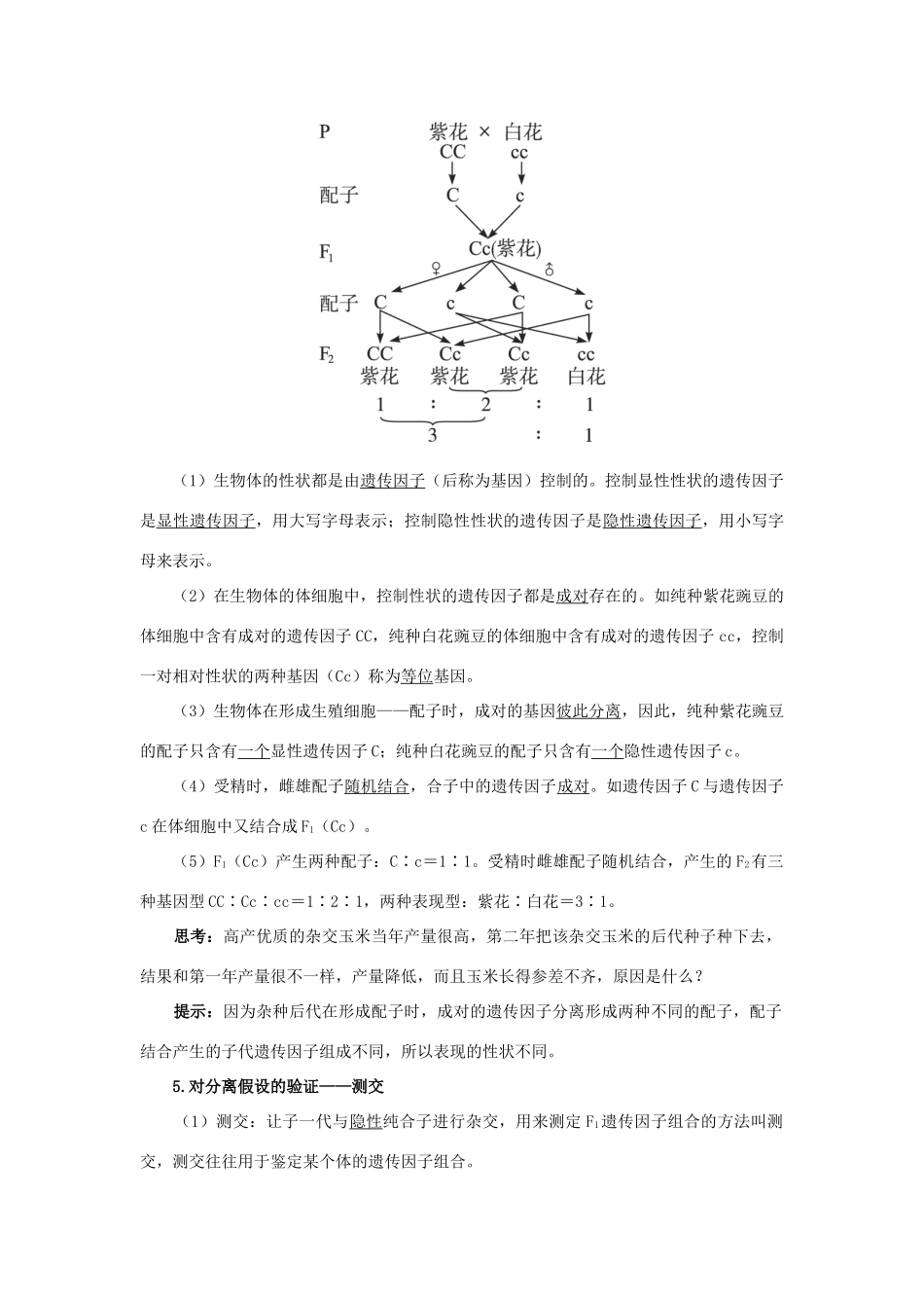 高中生物 第一节分离定律辅导教案 浙科版_第2页