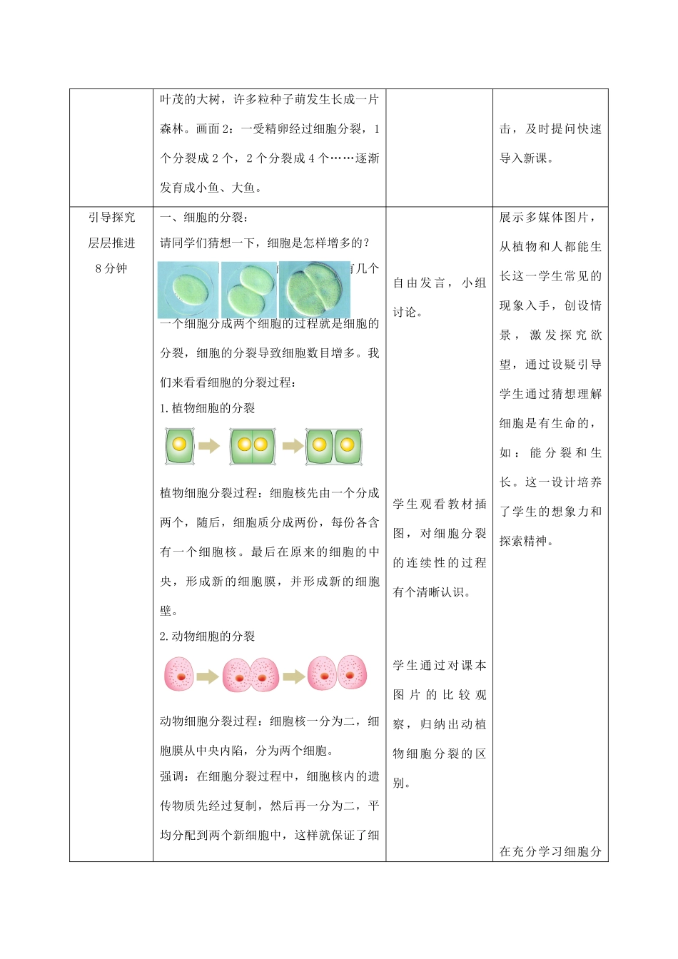 七年级生物上册 1.2.2《细胞的分裂与分化》教案 （新版）济南版-（新版）济南版初中七年级上册生物教案_第2页