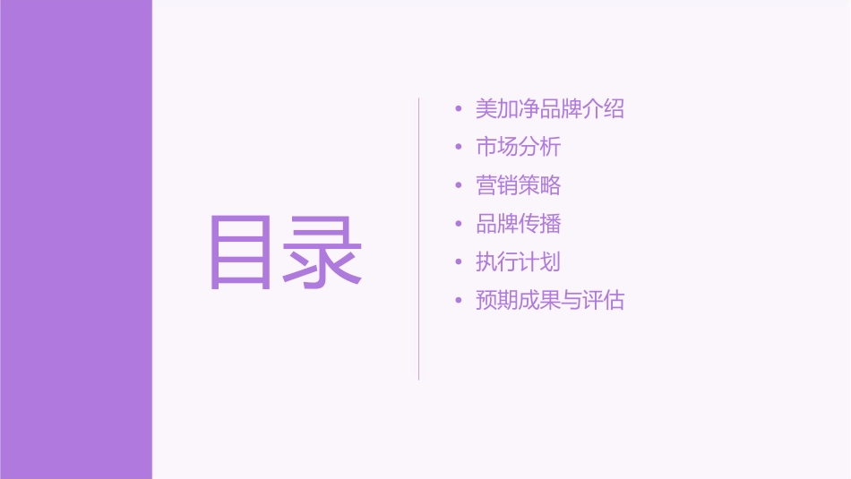美加净策略提案课件_第2页
