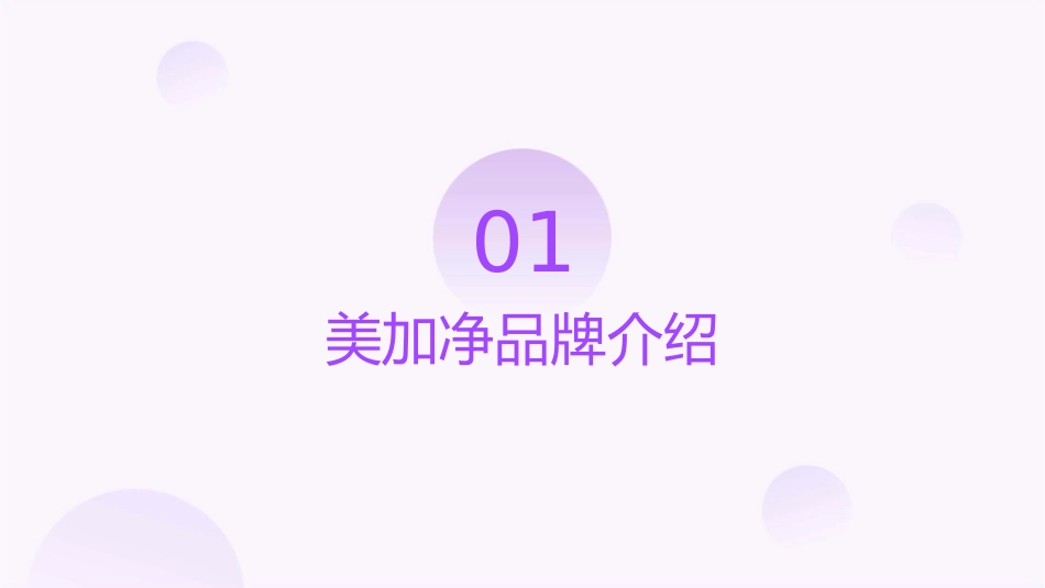 美加净策略提案课件_第3页