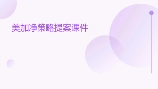 美加净策略提案课件