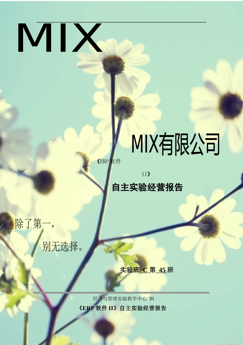 MIX公司企业经营报告_第1页