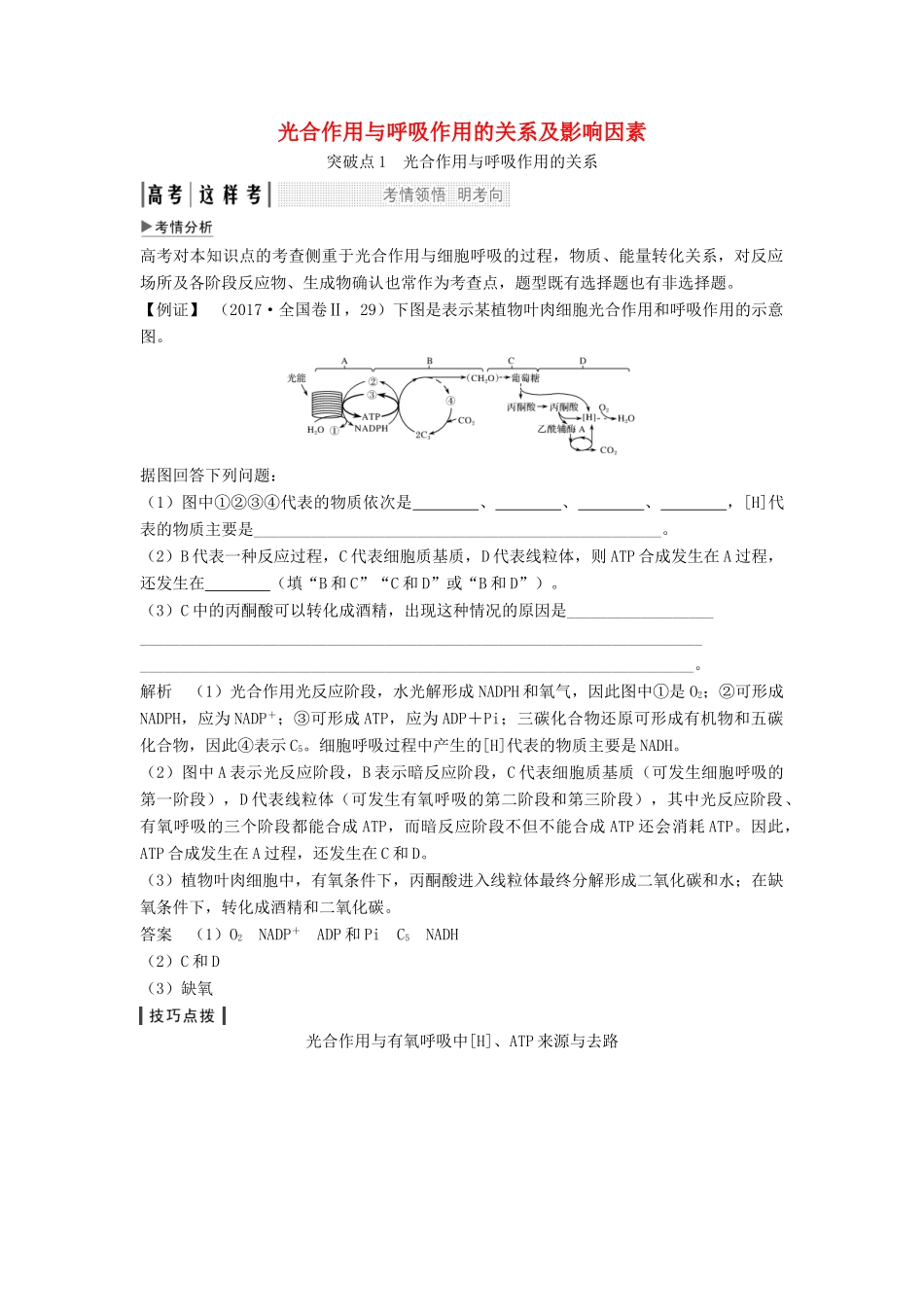 高考生物一轮复习 第一单元 有机体中的细胞 考点加强课1 光合作用与呼吸作用的关系及影响因素教案 中图版-中图版高三全册生物教案_第1页