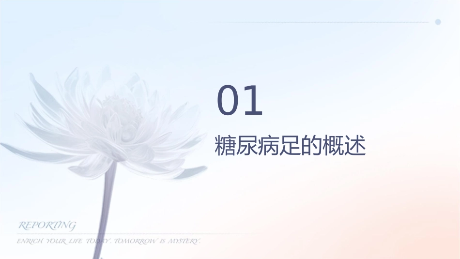 糖尿病足的预防与护理教学查房_第3页