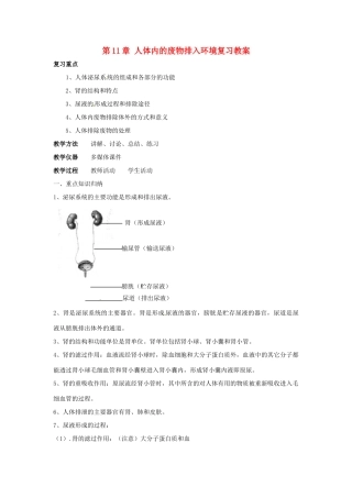 七年级生物下册 第11章人体内的废物排入环境复习教案 苏教版