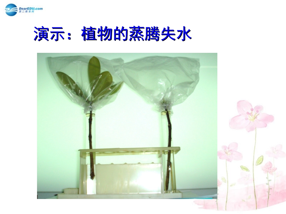 七年级生物上册 第5章 第4节 蒸腾作用课件1 北师大版_第3页