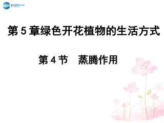 七年级生物上册 第5章 第4节 蒸腾作用课件1 北师大版