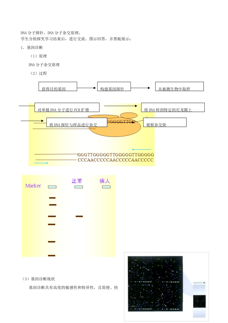 高中生物：1.2《基因诊断与基因治疗》教案新人教版选修2_第2页