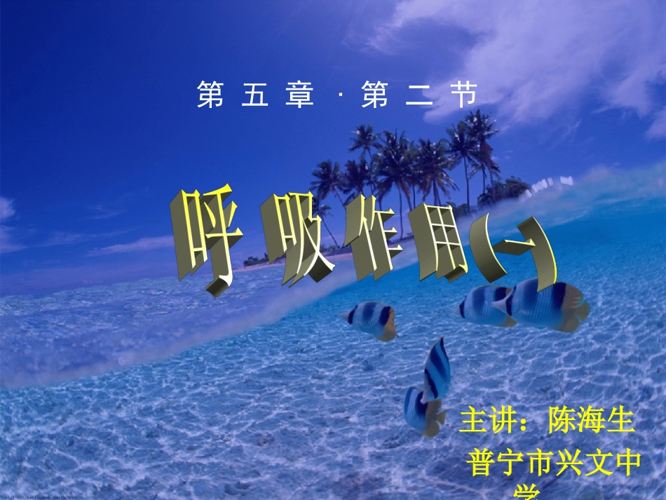 七年级生物上册 认识植物的呼吸现象-北师大版_第1页