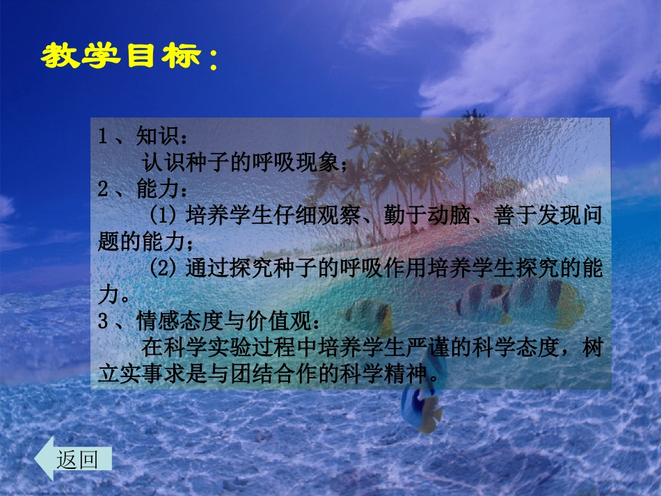 七年级生物上册 认识植物的呼吸现象-北师大版_第3页