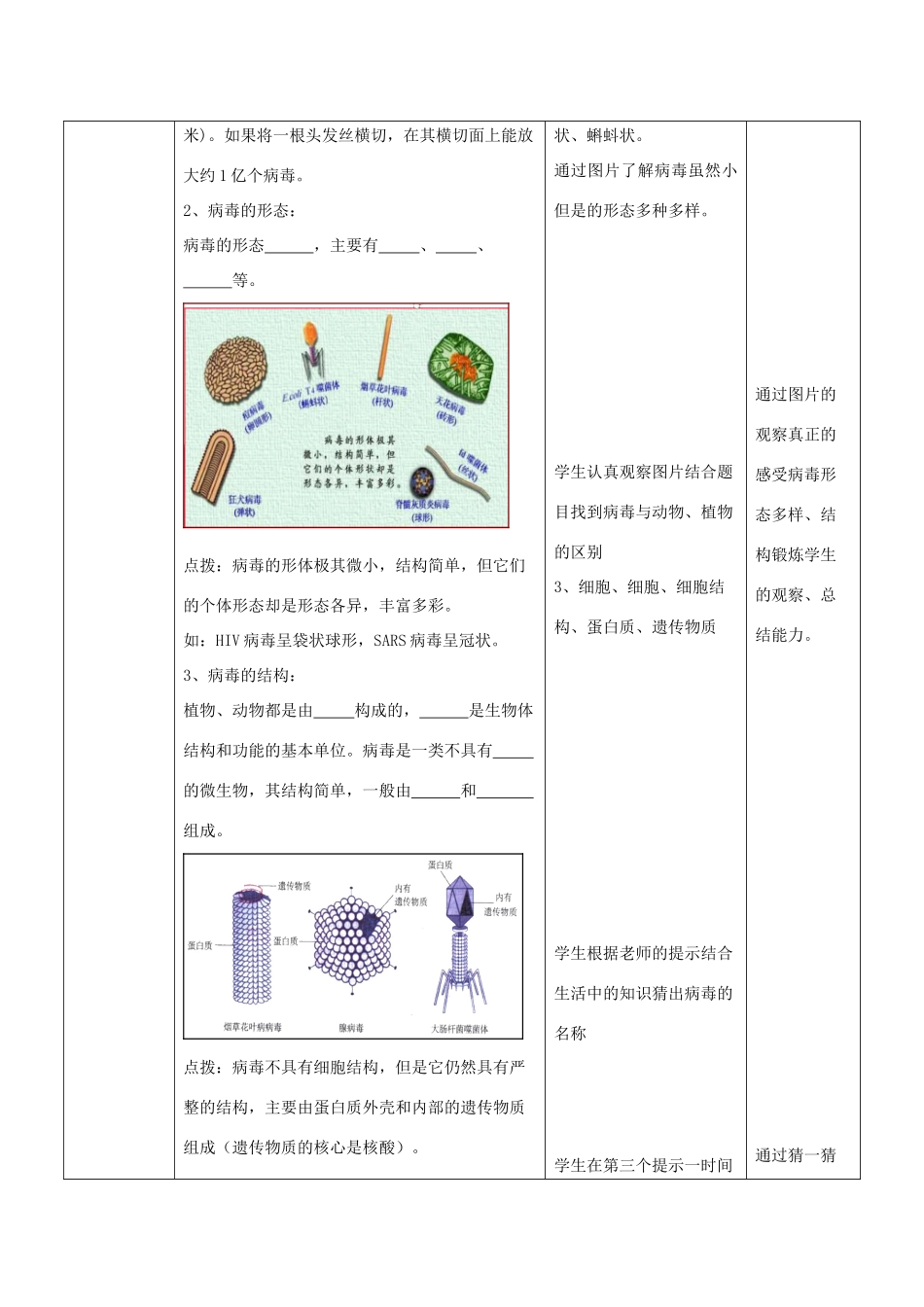 七年级生物上册 2.3.1《病毒》教案1 （新版）济南版-（新版）济南版初中七年级上册生物教案_第3页