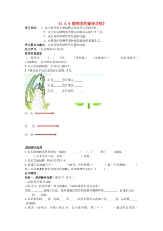 辽宁省辽阳市第九中学七年级生物上册《3.5.4 植物茎的输导功能》学案（无答案） 新人教版