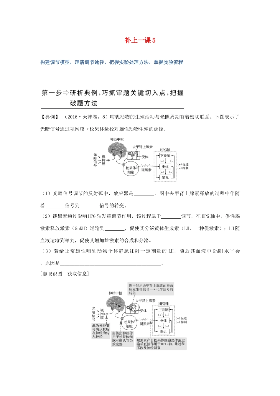 高考生物总复习 补上一课5教案 苏教版-苏教版高三全册生物教案_第1页