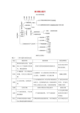 高中生物 第四章 章末整合提升教案 浙科版必修2-浙科版高中必修2生物教案