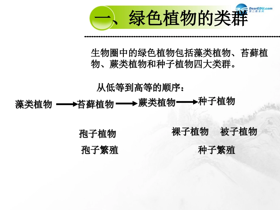 山东省临沂市蒙阴县第四中学七年级生物上册 第三单元 生物圈中的绿色植物复习课件 （新版）新人教版_第3页