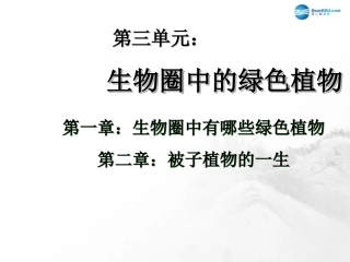 山东省临沂市蒙阴县第四中学七年级生物上册 第三单元 生物圈中的绿色植物复习课件 （新版）新人教版