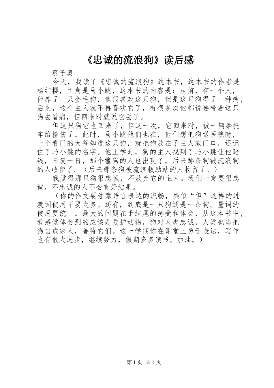 《忠诚的流浪狗》读后感 _第1页