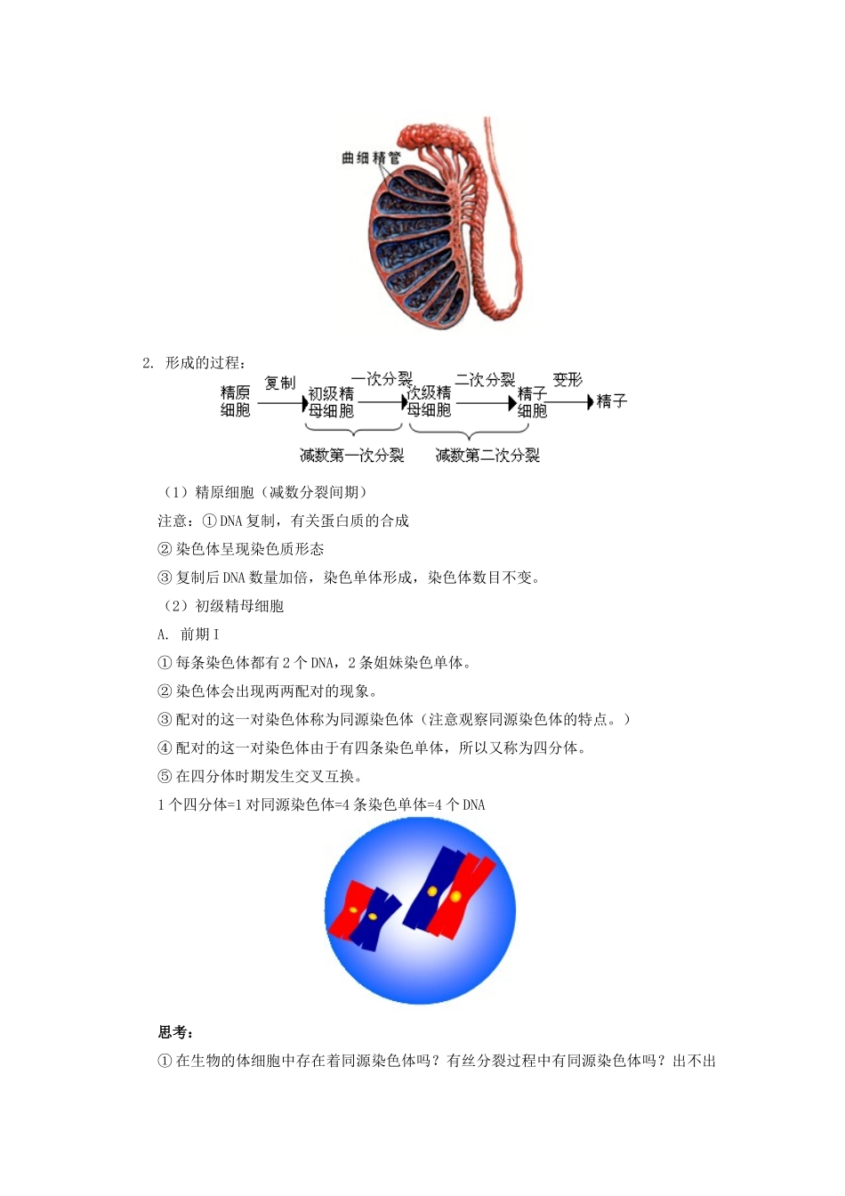 高中生物 第二章第1节减数分裂中的染色体行为教案 浙江版必修2_第3页