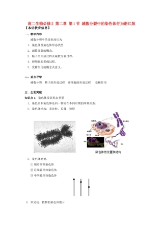 高中生物 第二章第1节减数分裂中的染色体行为教案 浙江版必修2