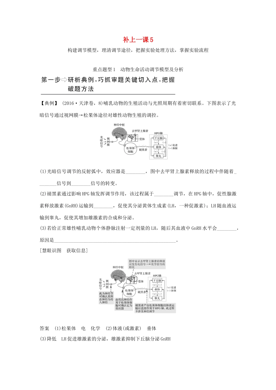 高考生物总复习 补上一课5教案 北师大版-北师大版高三全册生物教案_第1页