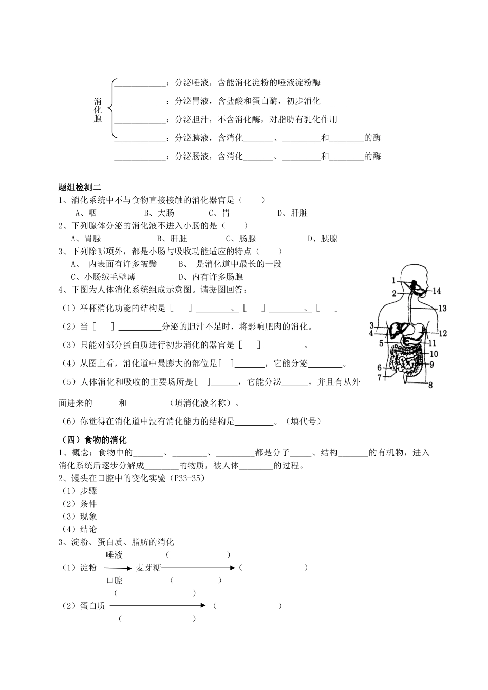 山东省泰安新泰市七年级生物下册 4.2 人体的营养复习学案（无答案） 新人教版_第2页
