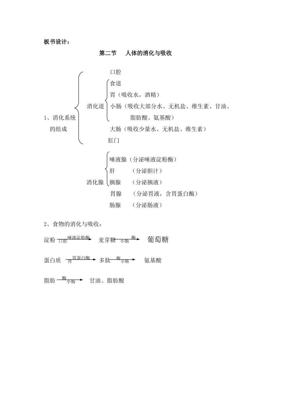 七年级生物下册 9.2 人体的消化与吸收教案 苏教版_第3页