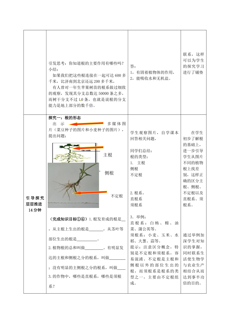 山东省滕州市大坞镇大坞中学八年级生物上册 4.1.5 根的结构和功能教案 济南版_第2页