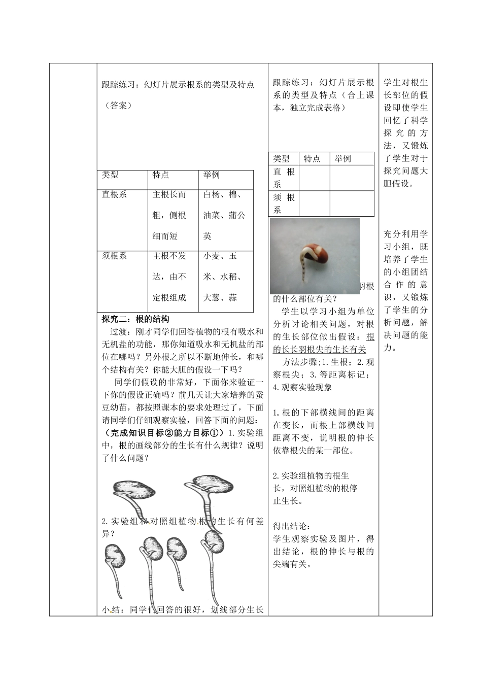 山东省滕州市大坞镇大坞中学八年级生物上册 4.1.5 根的结构和功能教案 济南版_第3页