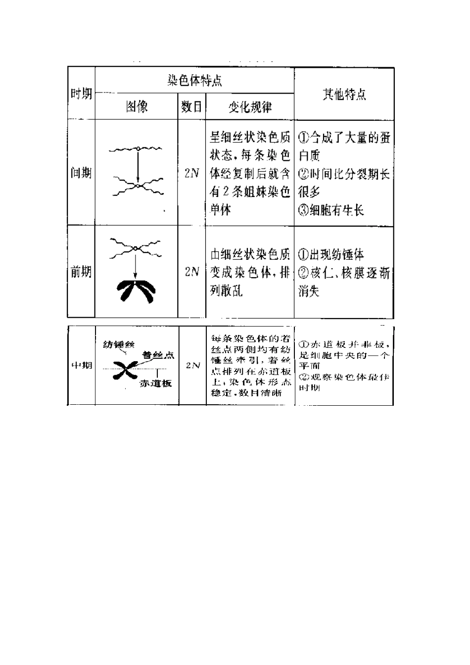 高中生物 细胞增殖、分化、衰老和凋亡教案_第3页