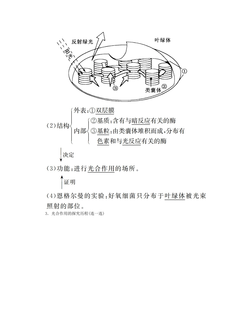 高考生物一轮复习 第三单元 细胞的能量供应和利用 第03讲 能量之源教案 新人教版-新人教版高三全册生物教案_第2页